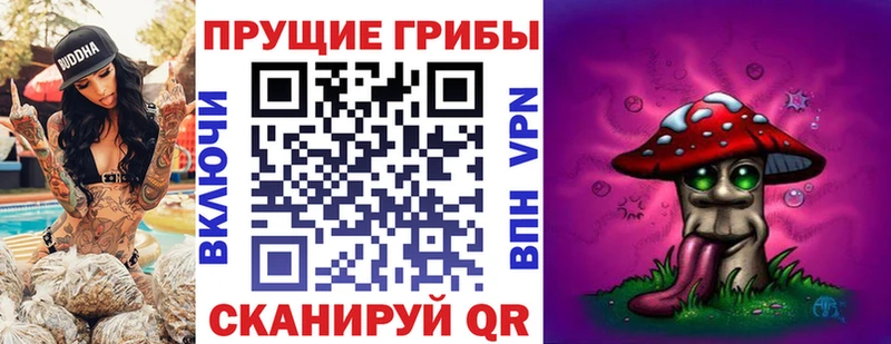 где продают наркотики ссылка на мегу вход Галлюциногенные грибы мицелий Курчатов